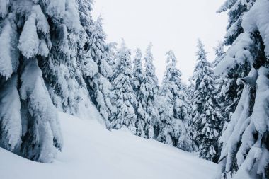 Nevşehir ve Kayseri’de Kar Tatili: Okullar Yarın Tatil Edildi