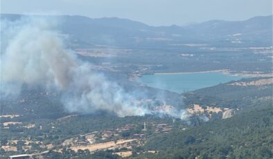 Çanakkale’de Kırsal Alandaki Yangın Ormana Sıçramadan Söndürüldü